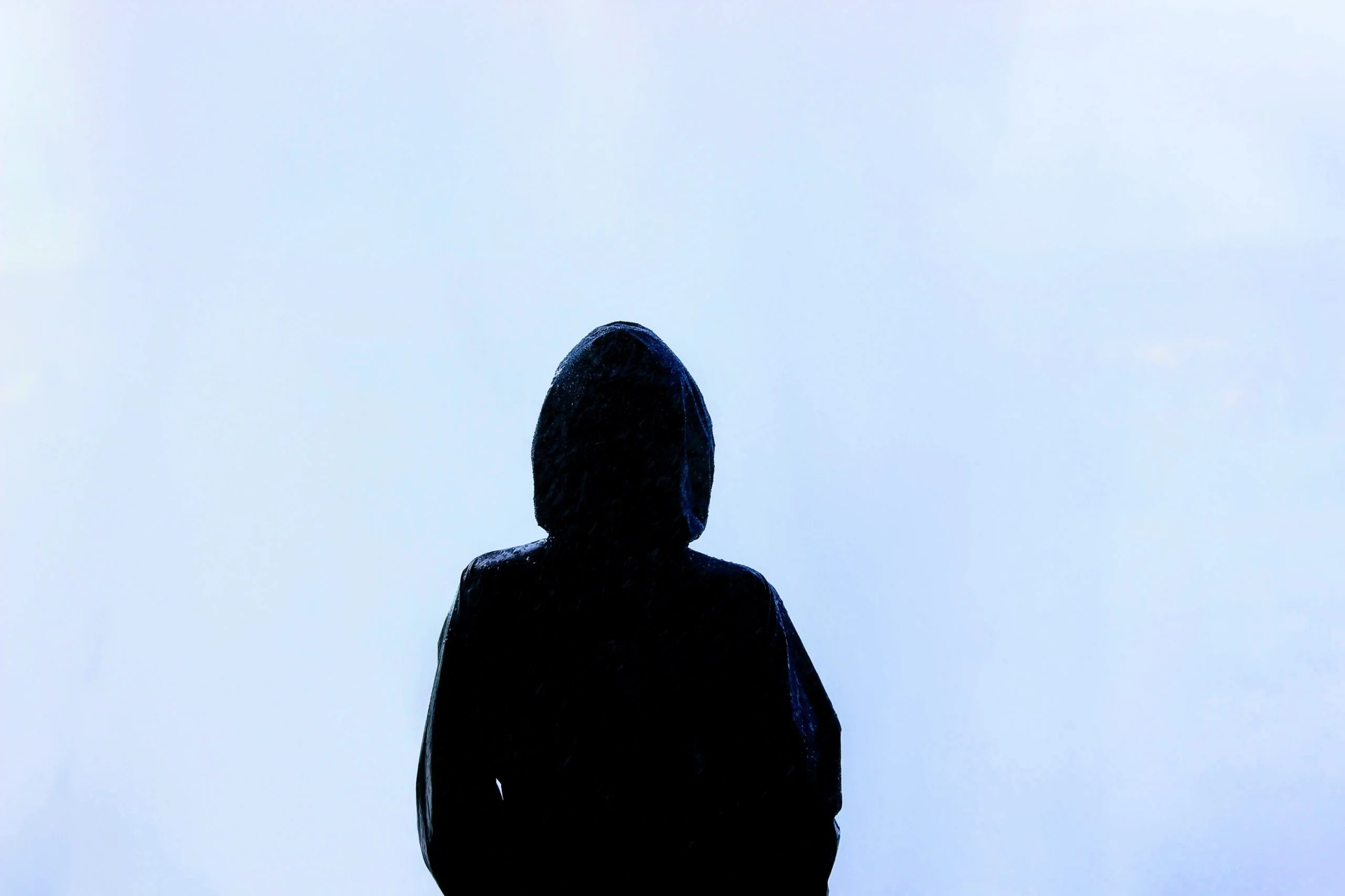 Photo by Brad Helmink on Unsplash