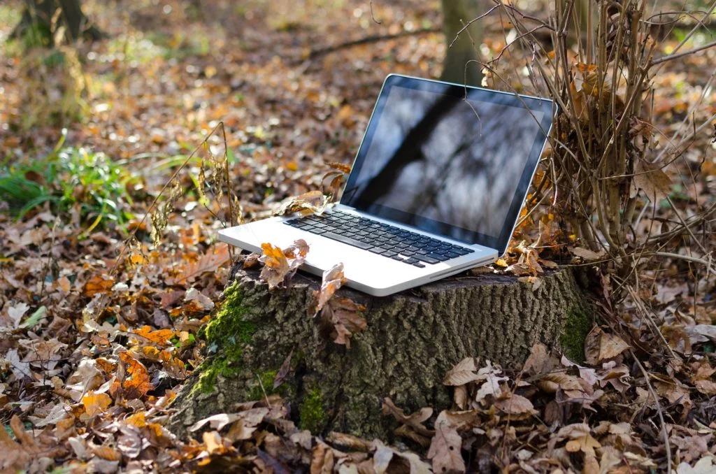 Remote working and how you can use Gamification with it