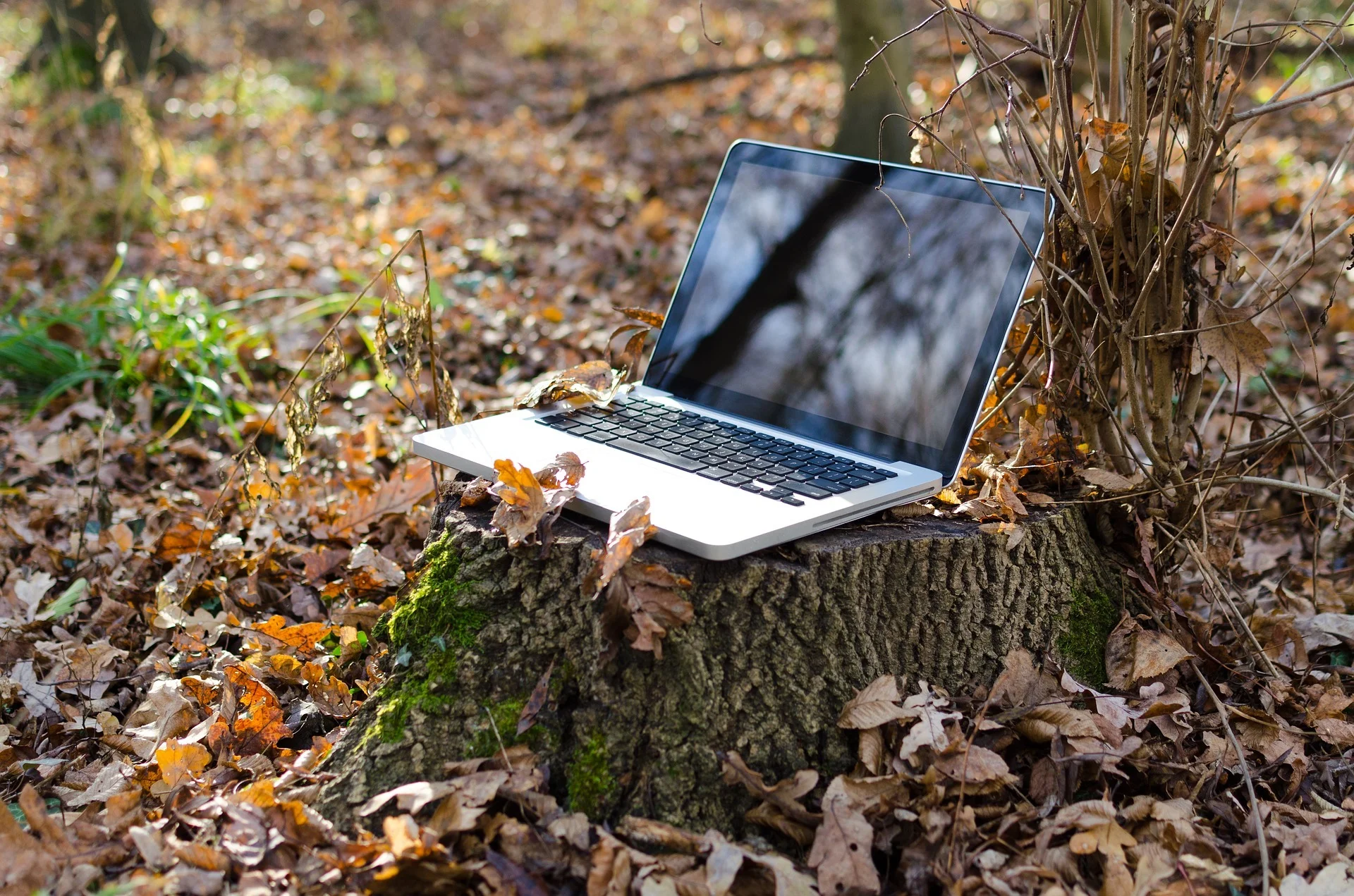 Remote working and how you can use Gamification with it